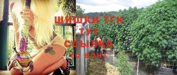 гашик Козловка