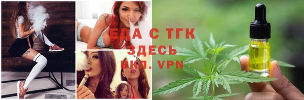 гашик Козловка