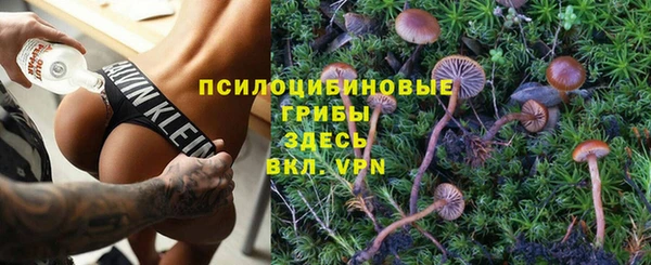 гашик Козловка