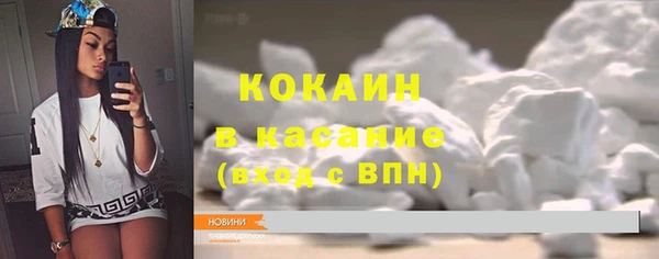 гашик Козловка