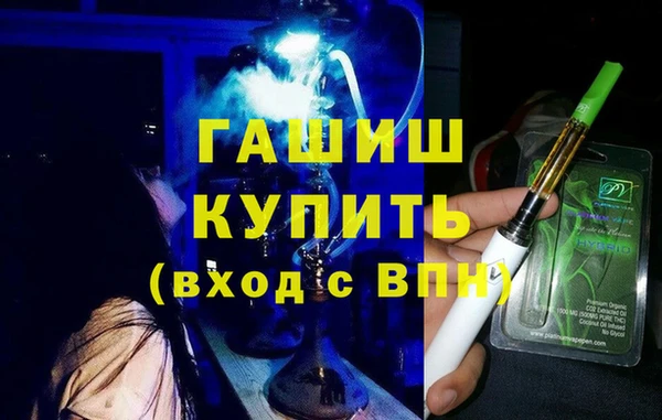 гашик Козловка