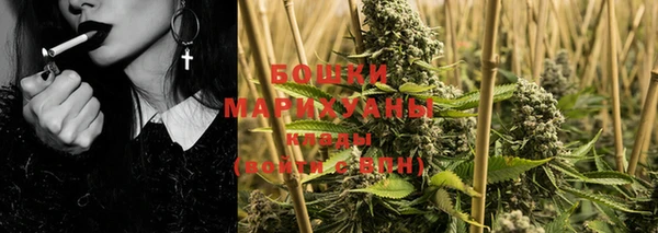 гашик Козловка