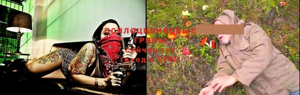 гашик Козловка