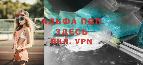 гашик Козловка