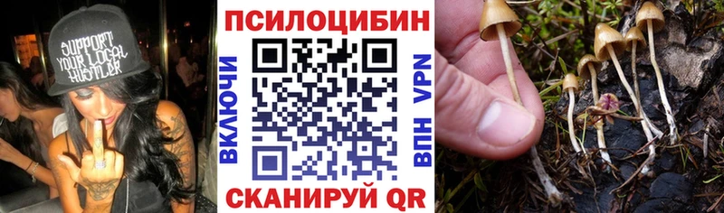 наркошоп  маркетплейс формула  Псилоцибиновые грибы Magic Shrooms  Первоуральск 