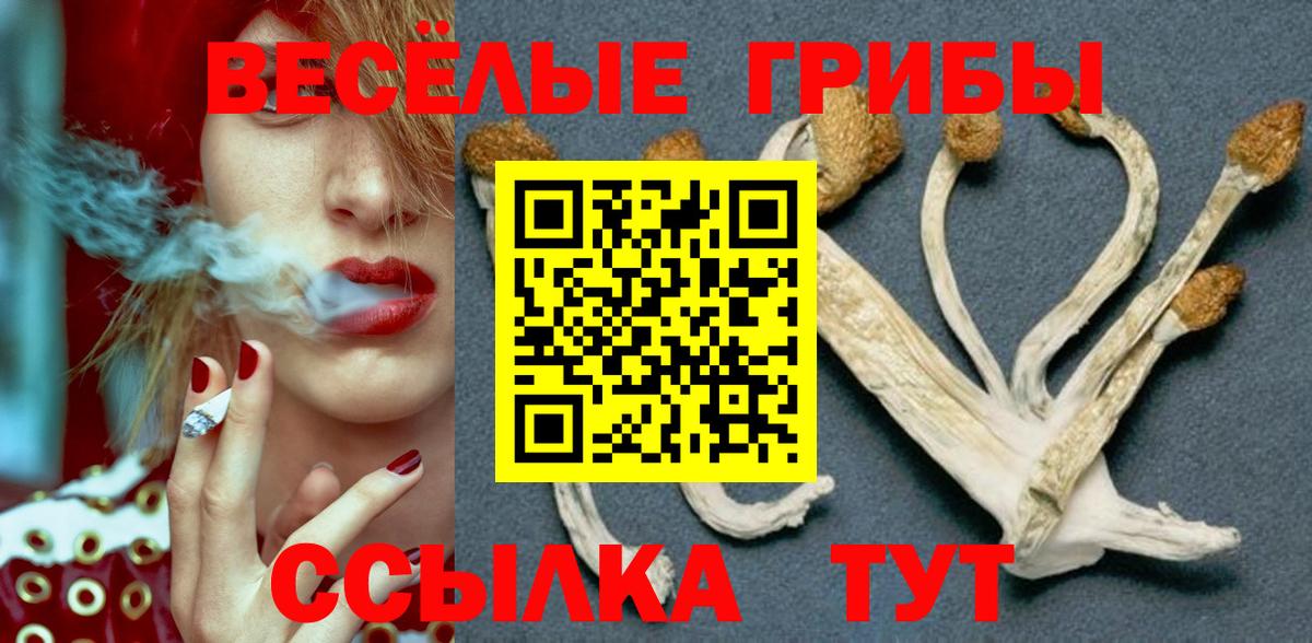 Первоуральск  Псилоцибиновые грибы ЛСД  Вход с VPN  Галлюциногенные грибы ЛСД 